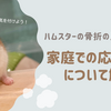 ハムスターの骨折の見分け方は？応急処置についても解説