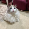 夏休み2日目は元気いっぱいのふくちゃん