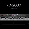 【試奏】Roland RD-2000を弾いた感想【旧RDから買い換える価値はあるか？】