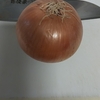ジューシーハンバーグを作りました！