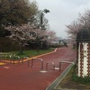 多摩湖月例マラソン・平成28年4月（東京都東村山市）