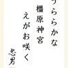 うららかな橿原神宮えがお咲く