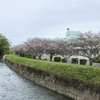 2024年4月8日「オカリナひょうたん笛コンサート」土佐清風園