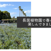 長居植物園で春の花を楽しんできました