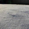 札幌あんまり雪降らない