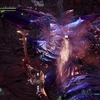 MONSTER HUNTER WORLD:PS4版：「つらぬけ、武道家魂！！」（後編）『歴戦ブラキディオス』攻めきれない･･･