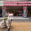 盆踊りには行かず