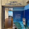 北大東島　ビックリ！　ベスト１０
