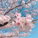 はじめての入院生活 diary