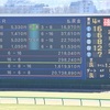 中山競馬場全レース予想公開