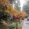 小国神社ポタ