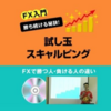 試し玉スキャルピングでちょっとだけ入れてみる！？