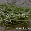 228食目 夏休み「全然芋づる式じゃない「芋づる」」イモヅル、食べたことある？