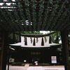 川越氷川神社で撮って来たんです