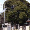 藤崎　子安神社