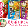 モランボン｜野菜１つでかんたんシリーズで夏野菜を楽しもう！プレゼントキャンペーン