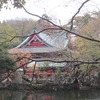 井の頭公園_カモとか・・（東京都三鷹市）