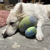 久しぶりにプラス気温