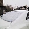 *小雪に気兼ねして、まあ取りあえずの初雪ってことに？