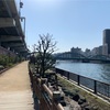 2/21🏊‍♂️🚴‍♀️🏃‍♂️  佐渡島参加権付ツアー当選😊