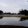 雨天決行！！キャンツー　IN 大池公園キャンプ場