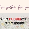 2021年11月のブログ運営報告（運営11ヶ月目報告）