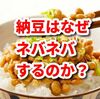 納豆はなぜネバネバするのか？