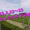 2025,2,22～23 トラックバイアス結果 (東京競馬場　京都競馬場　小倉競馬場)