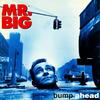 Mr.Big - Bump Ahead