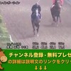 第77回 菊花賞（GI） 【競馬調教】 レインボーライン調教動画　「競馬レース結果ハイライト」2016年≪競馬場の達人,競馬予想≫