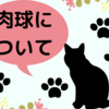 猫の肉球、調べてみたらただ触り心地がいいだけの部分じゃなかった！