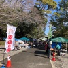 浅間神社の安倍の市イベントへ〜