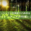 【フィトンチッド】の特徴　森林浴の多すぎるメリット【うつ軽減、快眠、集中力UP】