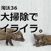 淘汰された100の物たち36個目【大掃除を放棄】年末に揉めたくない！ので私はワンコイン中掃除