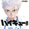 ハイキュー!!が色々と凄すぎるので、9つだけ魅力を語らせてほしい