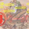 無料で500円以上のパンケーキ！デニーズお得誕生日クーポンの利用方法