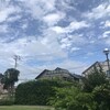 雲