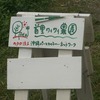 首里ワイワイ農園（畑の通路の草刈り）