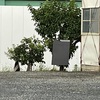 忖度なしレビュー・・・ココに極まるッ！