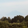 今朝の景色