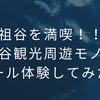 奥祖谷を満喫！！奥祖谷観光周遊モノレール体験してみた！