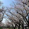 第80回「積善の家には必ず余慶あり、積不善の家には余殃あり。」（易経）