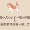 夜間の犬のひどい咳の対処法、夜間動物病院の探し方