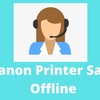 Why Is My Canon Printer Says Offline?