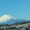 １．１２（日・曇り）大相撲初場所。
