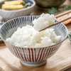 とにかくごはんが美味しい