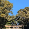 2月1日明治神宮カラスさんぽ