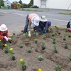昨年の反省をふまえて今年の花壇