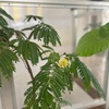 青春の不均衡には不可欠だった