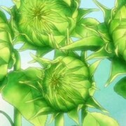 こばと 第10話が面白い 藤本清和の 向日葵 が咲くとき あしもとに水色宇宙
